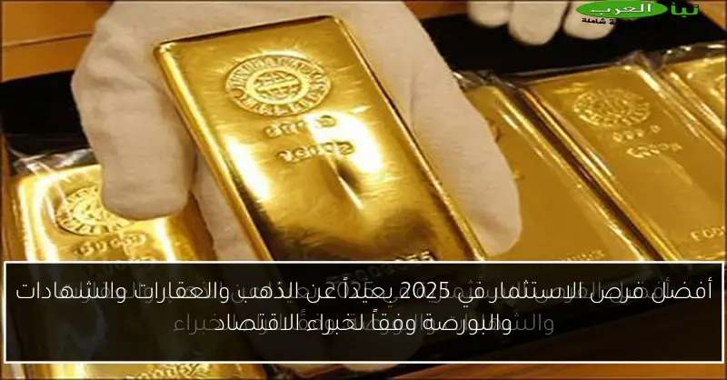 أفضل فرص الاستثمار في 2025 بعيداً عن الذهب والعقارات والشهادات والبورصة وفقاً لخبراء الاقتصاد