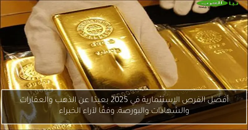 أفضل الفرص الاستثمارية في 2025 بعيدًا عن الذهب والعقارات والشهادات والبورصة، وفقًا لآراء الخبراء