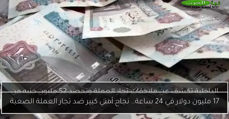 17 مليون دولار في 24 ساعة.. نجاح أمني كبير ضد تجار العملة الصعبة