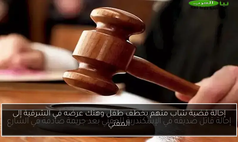 إحالة قضية شاب متهم بخطف طفل وهتك عرضه في الشرقية إلى المفتي