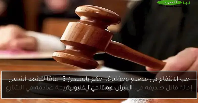 حب الانتقام في مصنع وحظيرة.. حكم بالسجن 15 عامًا لمتهم أشعل النيران عمدًا في القليوبية