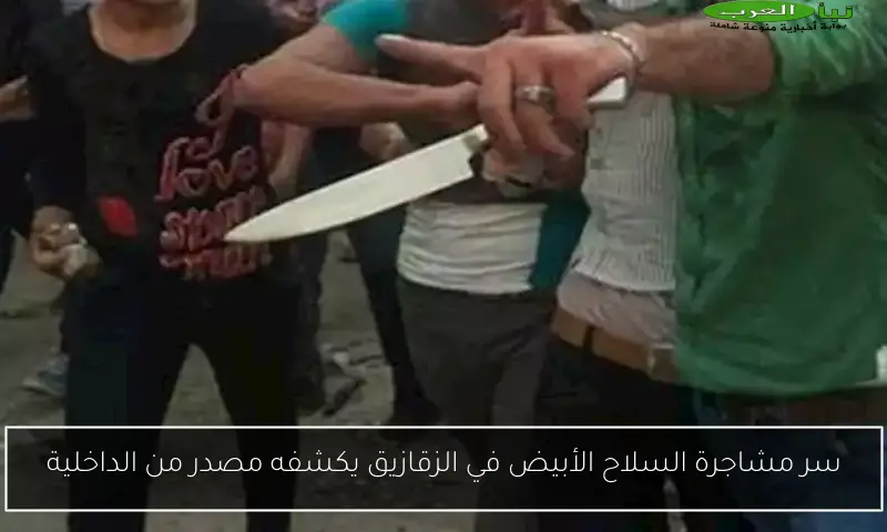 سر مشاجرة السلاح الأبيض في الزقازيق يكشفه مصدر من الداخلية