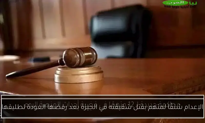 الإعدام شنقًا لمتهم بقتل شقيقته في الجيزة بعد رفضها العودة لطليقها