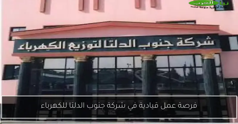 فرصة عمل قيادية في شركة جنوب الدلتا للكهرباء