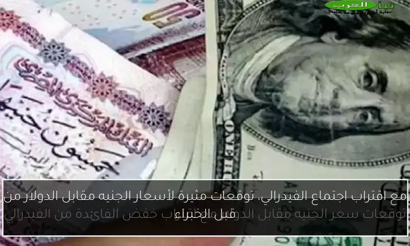 مع اقتراب اجتماع الفيدرالي، توقعات مثيرة لأسعار الجنيه مقابل الدولار من قبل الخبراء
