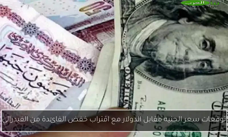 توقعات سعر الجنيه مقابل الدولار مع اقتراب خفض الفائدة من الفيدرالي
