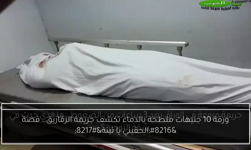 ورقة 10 جنيهات ملطخة بالدماء تكشف جريمة الزقازيق.. قصة ‘الحقيني يا تيتة’