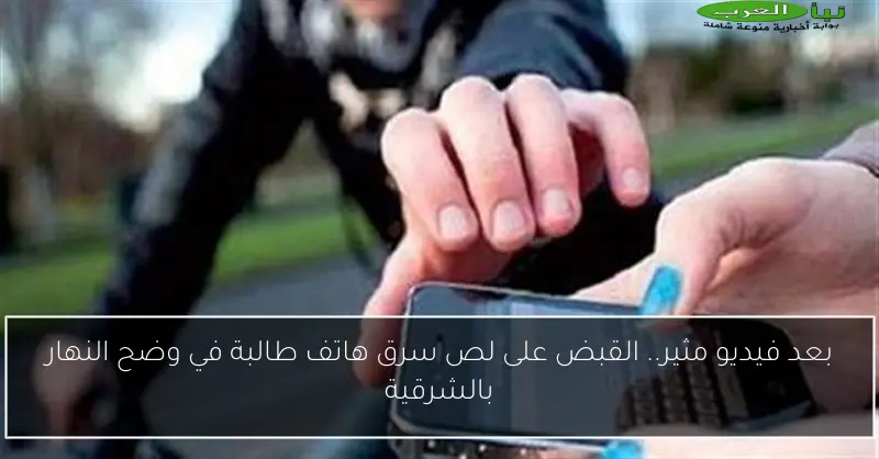 بعد فيديو مثير.. القبض على لص سرق هاتف طالبة في وضح النهار بالشرقية