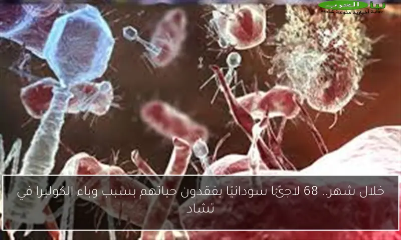 خلال شهر.. 68 لاجئًا سودانيًا يفقدون حياتهم بسبب وباء الكوليرا في تشاد