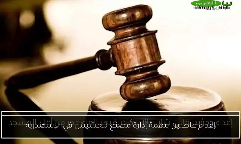إعدام عاطلين بتهمة إدارة مصنع للحشيش في الإسكندرية
