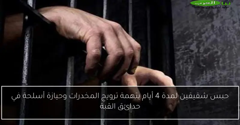 حبس شقيقين لمدة 4 أيام بتهمة ترويج المخدرات وحيازة أسلحة في حدائق القبة