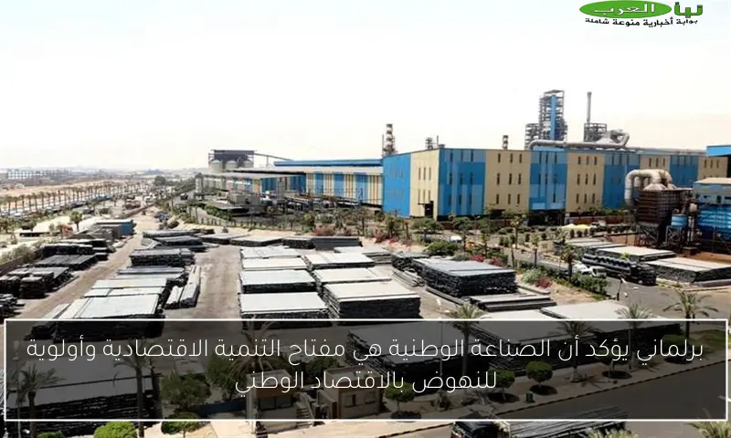 برلماني يؤكد أن الصناعة الوطنية هي مفتاح التنمية الاقتصادية وأولوية للنهوض بالاقتصاد الوطني