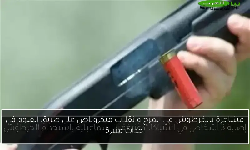 مشاجرة بالخرطوش في المرج وانقلاب ميكروباص على طريق الفيوم في أحداث مثيرة