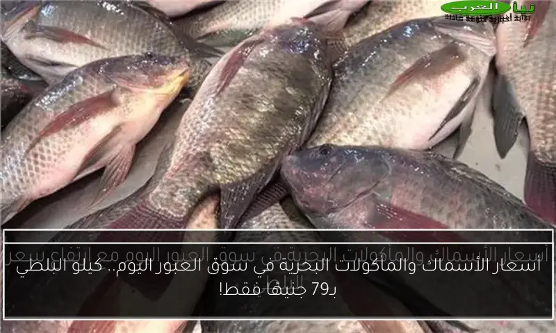أسعار الأسماك والمأكولات البحرية في سوق العبور اليوم.. كيلو البلطي بـ79 جنيهًا فقط!