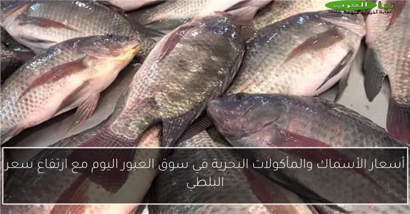 أسعار الأسماك والمأكولات البحرية في سوق العبور اليوم مع ارتفاع سعر البلطي