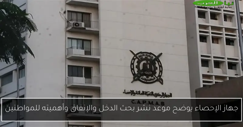 جهاز الإحصاء يوضح موعد نشر بحث الدخل والإنفاق وأهميته للمواطنين