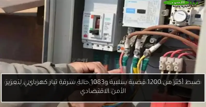 ضبط أكثر من 1200 قضية سلبية و1083 حالة سرقة تيار كهربائي لتعزيز الأمن الاقتصادي
