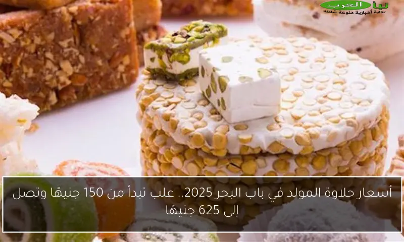 أسعار حلاوة المولد في باب البحر 2025.. علب تبدأ من 150 جنيهًا وتصل إلى 625 جنيهًا