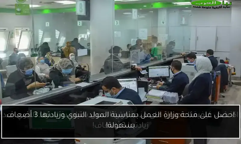 احصل على منحة وزارة العمل بمناسبة المولد النبوي وزيادتها 3 أضعاف بسهولة!