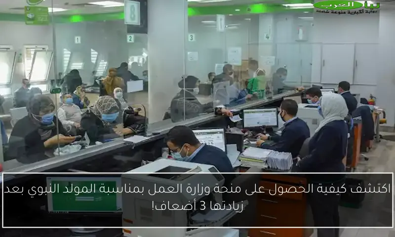 اكتشف كيفية الحصول على منحة وزارة العمل بمناسبة المولد النبوي بعد زيادتها 3 أضعاف!