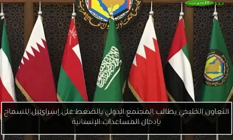 التعاون الخليجي يطالب المجتمع الدولي بالضغط على إسرائيل للسماح بإدخال المساعدات الإنسانية