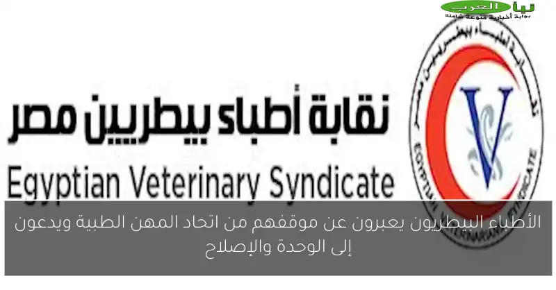 الأطباء البيطريون يعبرون عن موقفهم من اتحاد المهن الطبية ويدعون إلى الوحدة والإصلاح