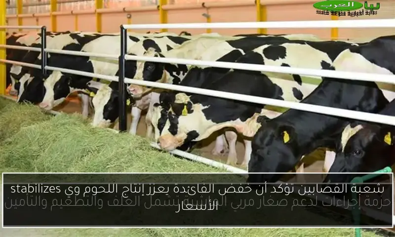 شعبة القصابين تؤكد أن خفض الفائدة يعزز إنتاج اللحوم وي stabilizes الأسعار