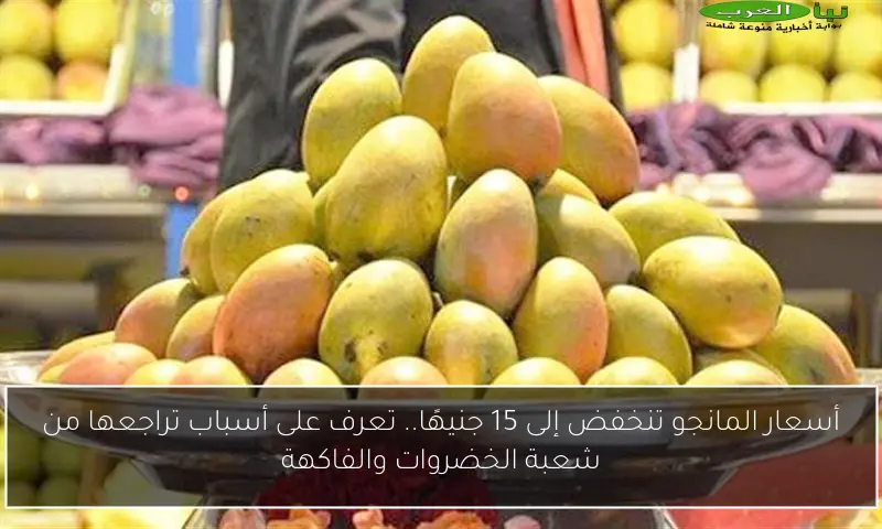 أسعار المانجو تنخفض إلى 15 جنيهًا.. تعرف على أسباب تراجعها من شعبة الخضروات والفاكهة