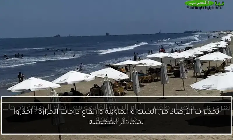 تحذيرات الأرصاد من الشبورة المائية وارتفاع درجات الحرارة.. احذروا المخاطر المحتملة!