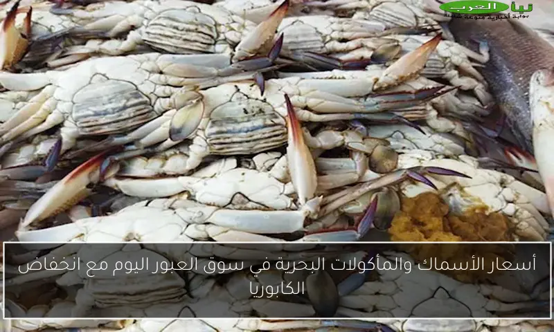 أسعار الأسماك والمأكولات البحرية في سوق العبور اليوم مع انخفاض الكابوريا
