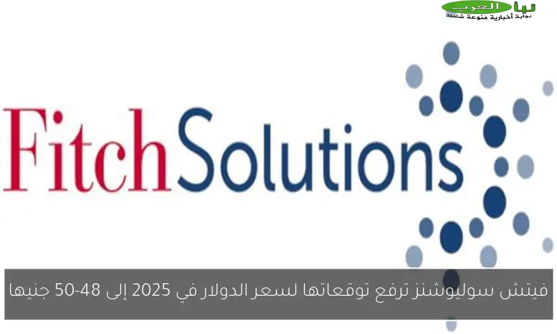 فيتش سوليوشنز ترفع توقعاتها لسعر الدولار في 2025 إلى 48-50 جنيها