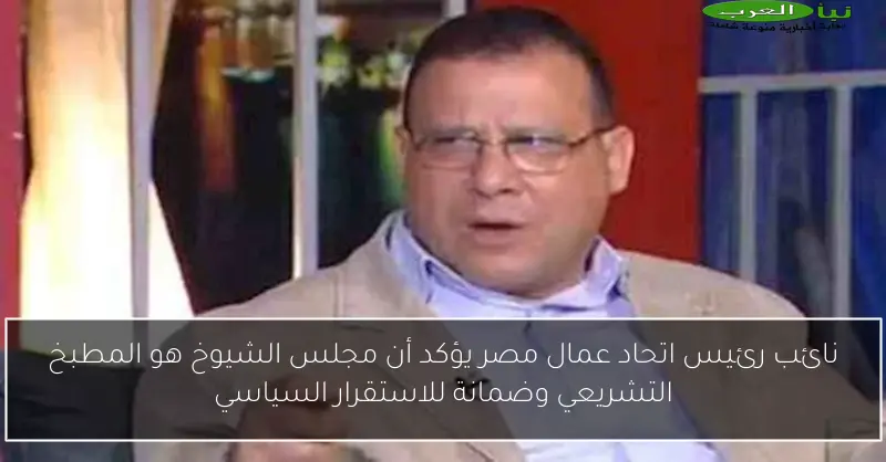نائب رئيس اتحاد عمال مصر يؤكد أن مجلس الشيوخ هو المطبخ التشريعي وضمانة للاستقرار السياسي