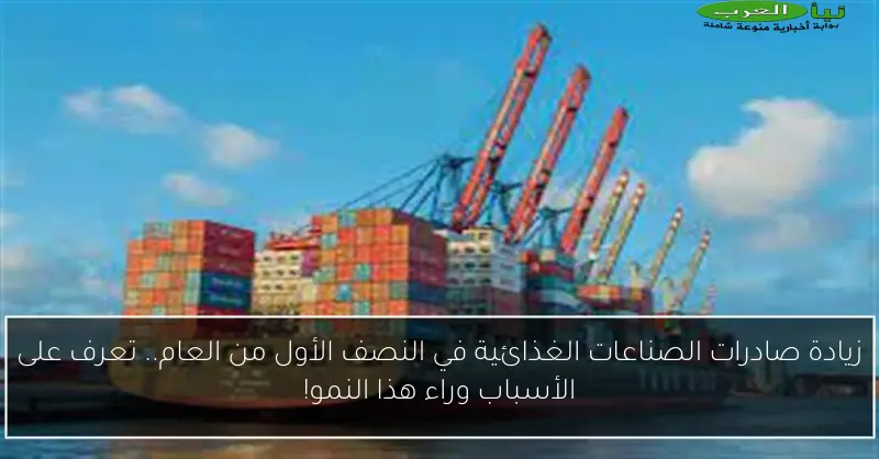 زيادة صادرات الصناعات الغذائية في النصف الأول من العام.. تعرف على الأسباب وراء هذا النمو!