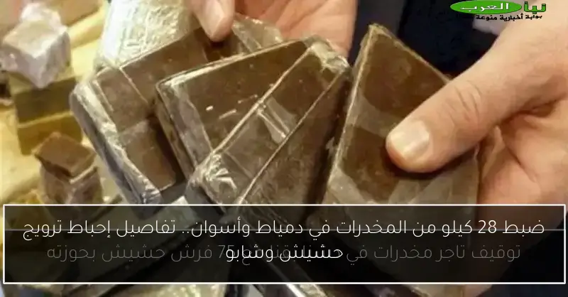 ضبط 28 كيلو من المخدرات في دمياط وأسوان.. تفاصيل إحباط ترويج حشيش وشابو