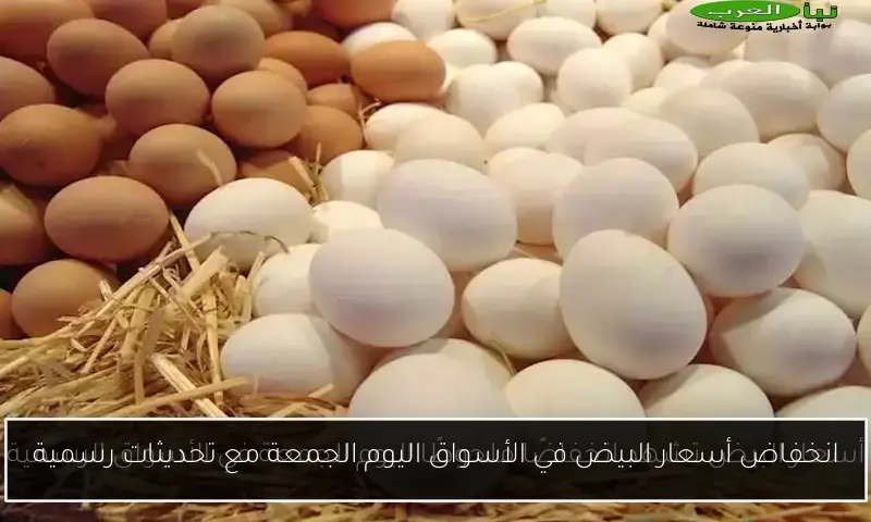 انخفاض أسعار البيض في الأسواق اليوم الجمعة مع تحديثات رسمية