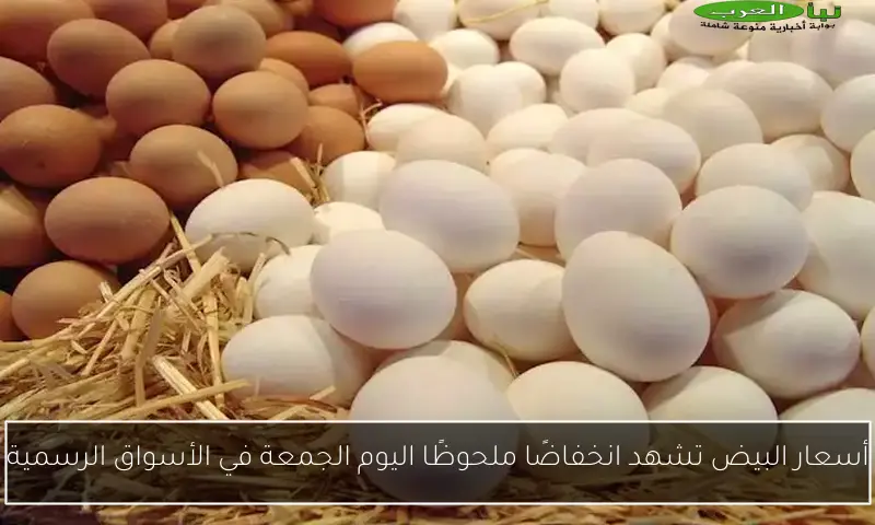 أسعار البيض تشهد انخفاضًا ملحوظًا اليوم الجمعة في الأسواق الرسمية