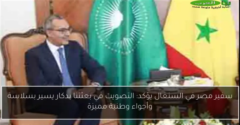 سفير مصر في السنغال يؤكد: التصويت في بعثتنا بدكار يسير بسلاسة وأجواء وطنية مميزة
