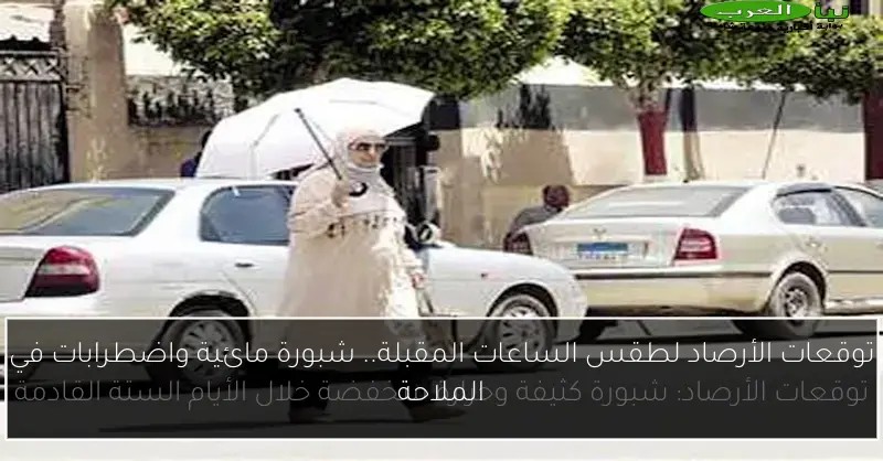 توقعات الأرصاد لطقس الساعات المقبلة.. شبورة مائية واضطرابات في الملاحة
