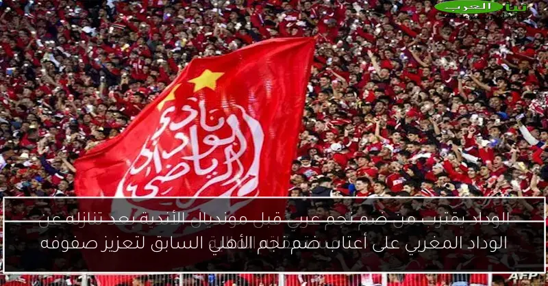 الوداد المغربي على أعتاب ضم نجم الأهلي السابق لتعزيز صفوفه