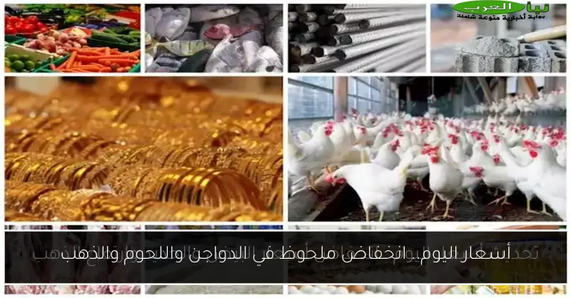 أسعار اليوم.. انخفاض ملحوظ في الدواجن واللحوم والذهب