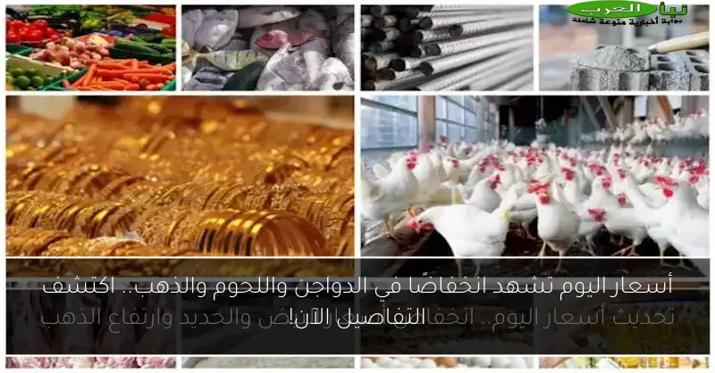 أسعار اليوم تشهد انخفاضًا في الدواجن واللحوم والذهب.. اكتشف التفاصيل الآن!