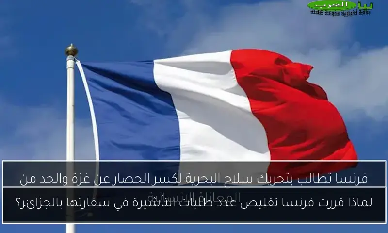 لماذا قررت فرنسا تقليص عدد طلبات التأشيرة في سفارتها بالجزائر؟