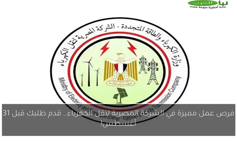 فرص عمل مميزة في الشركة المصرية لنقل الكهرباء.. قدم طلبك قبل 31 أغسطس!