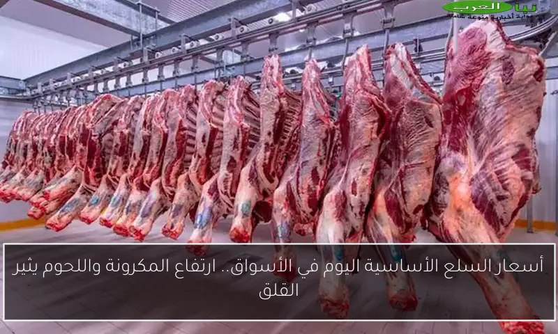 أسعار السلع الأساسية اليوم في الأسواق.. ارتفاع المكرونة واللحوم يثير القلق