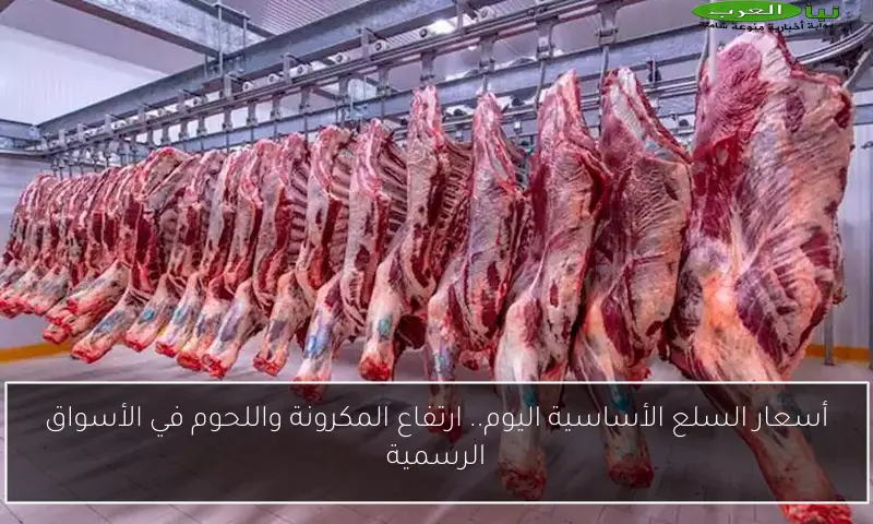 أسعار السلع الأساسية اليوم.. ارتفاع المكرونة واللحوم في الأسواق الرسمية