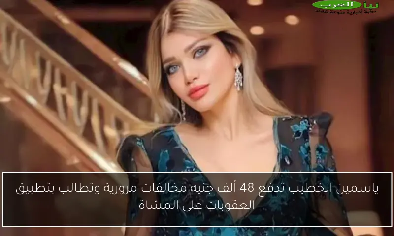 ياسمين الخطيب تدفع 48 ألف جنيه مخالفات مرورية وتطالب بتطبيق العقوبات على المشاة
