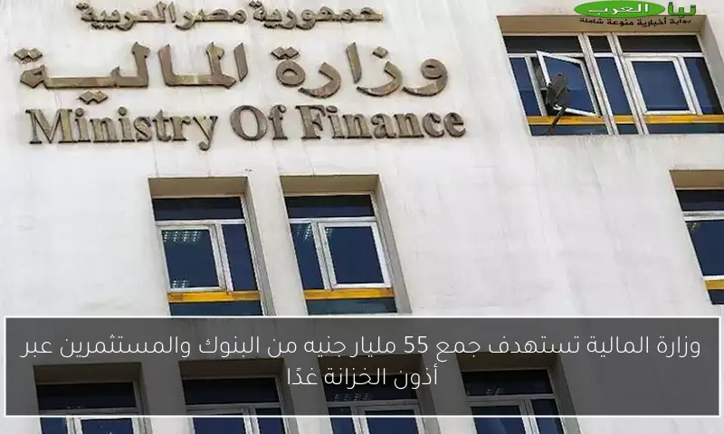 وزارة المالية تستهدف جمع 55 مليار جنيه من البنوك والمستثمرين عبر أذون الخزانة غدًا