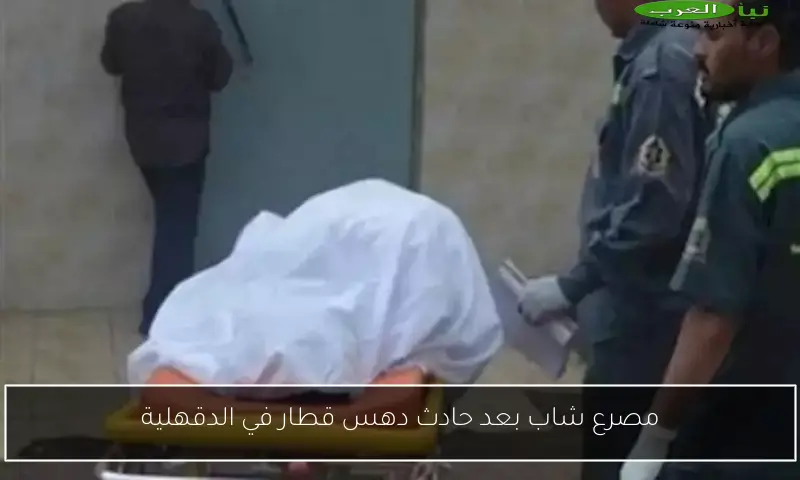 مصرع شاب بعد حادث دهس قطار في الدقهلية