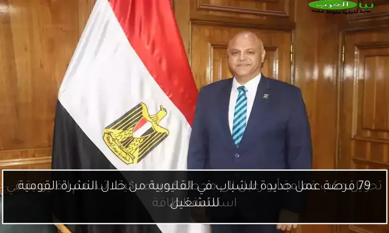 79 فرصة عمل جديدة للشباب في القليوبية من خلال النشرة القومية للتشغيل