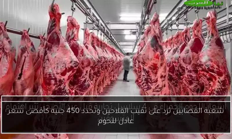 شعبة القصابين ترد على نقيب الفلاحين وتحدد 450 جنيه كأقصى سعر عادل للحوم